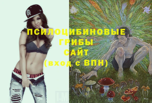 кокаин колумбия Новозыбков