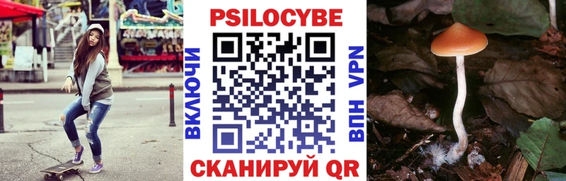 Галлюциногенные грибы мицелий  цены наркотик  Уржум 
